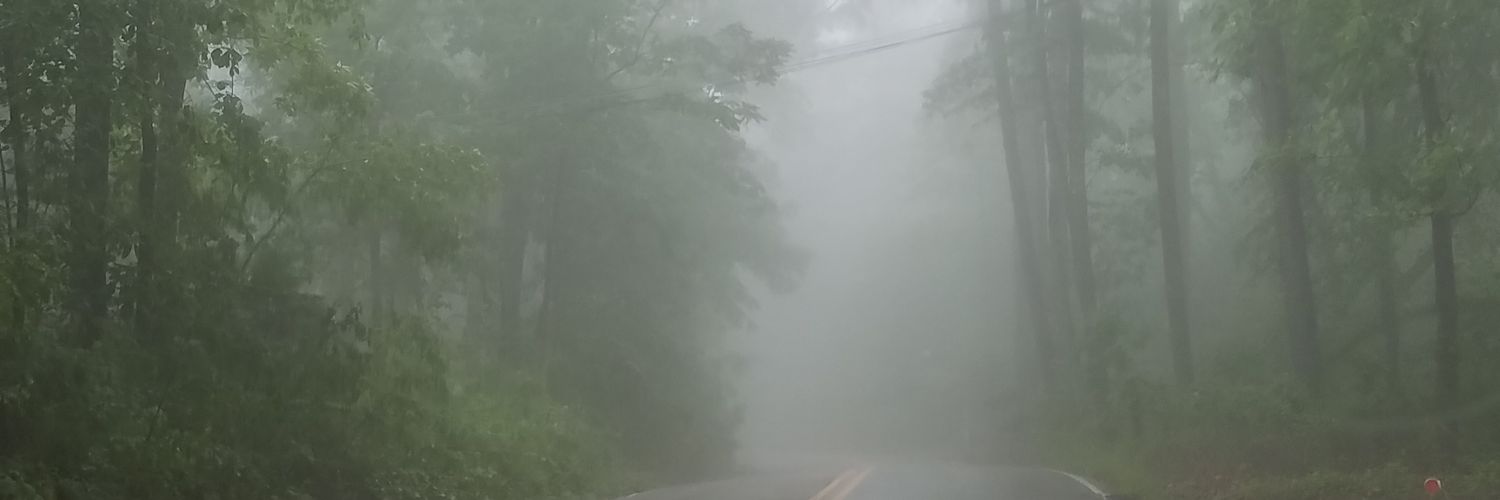lamb_lambs's profile banner image