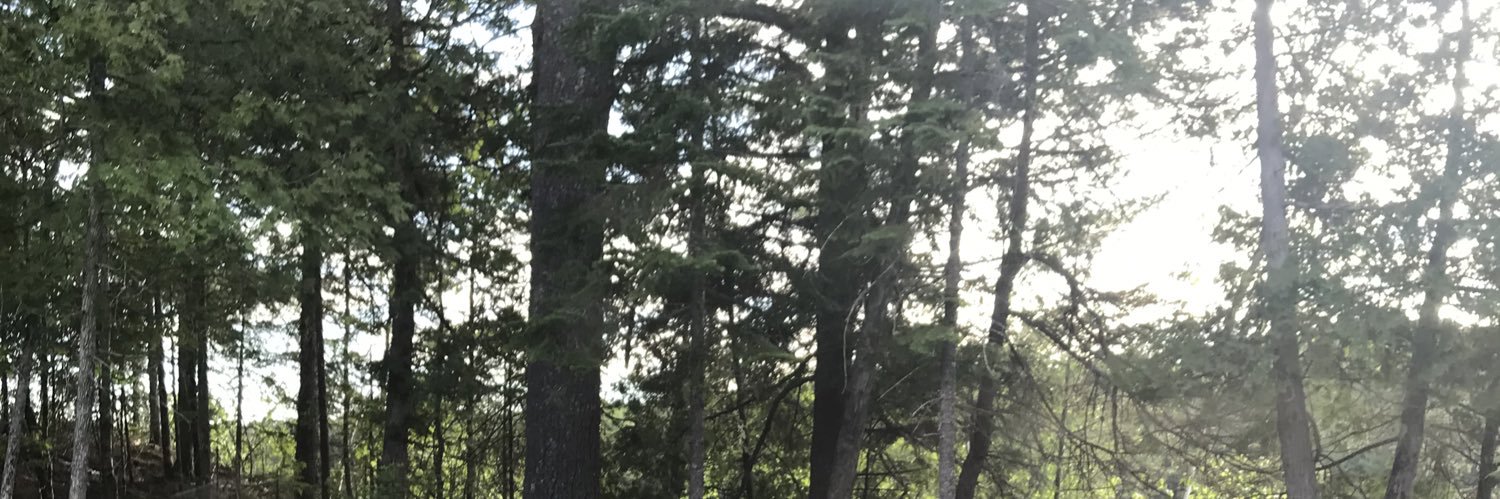 AishaIssa_'s profile banner image