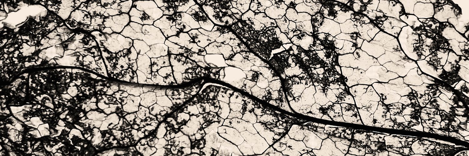 day_bex's profile banner image