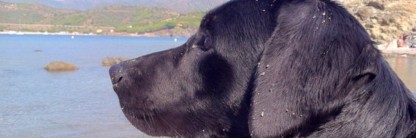 MRiutortUB Profile Banner