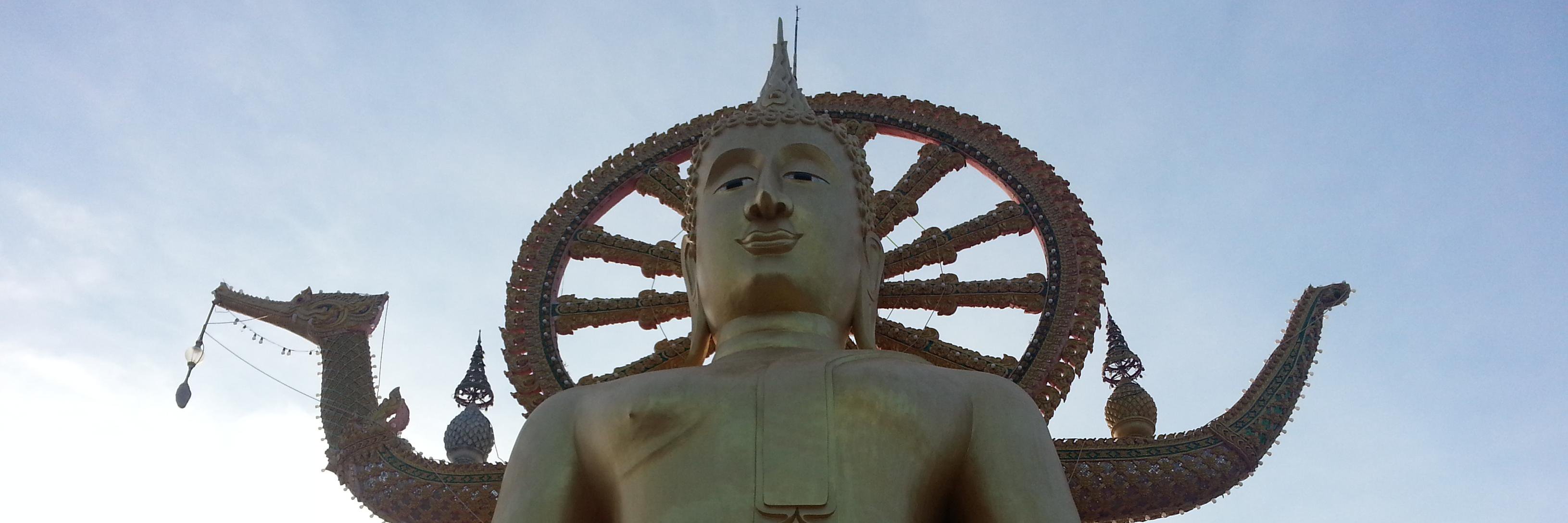 Maxim Dorofeev banner