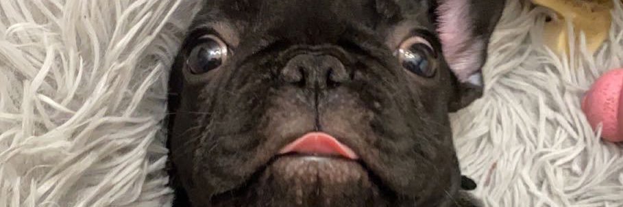 lrlnd_'s profile banner image