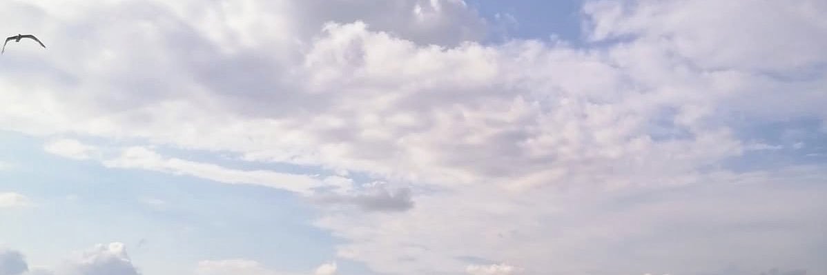 ozlemdemiir_'s profile banner image
