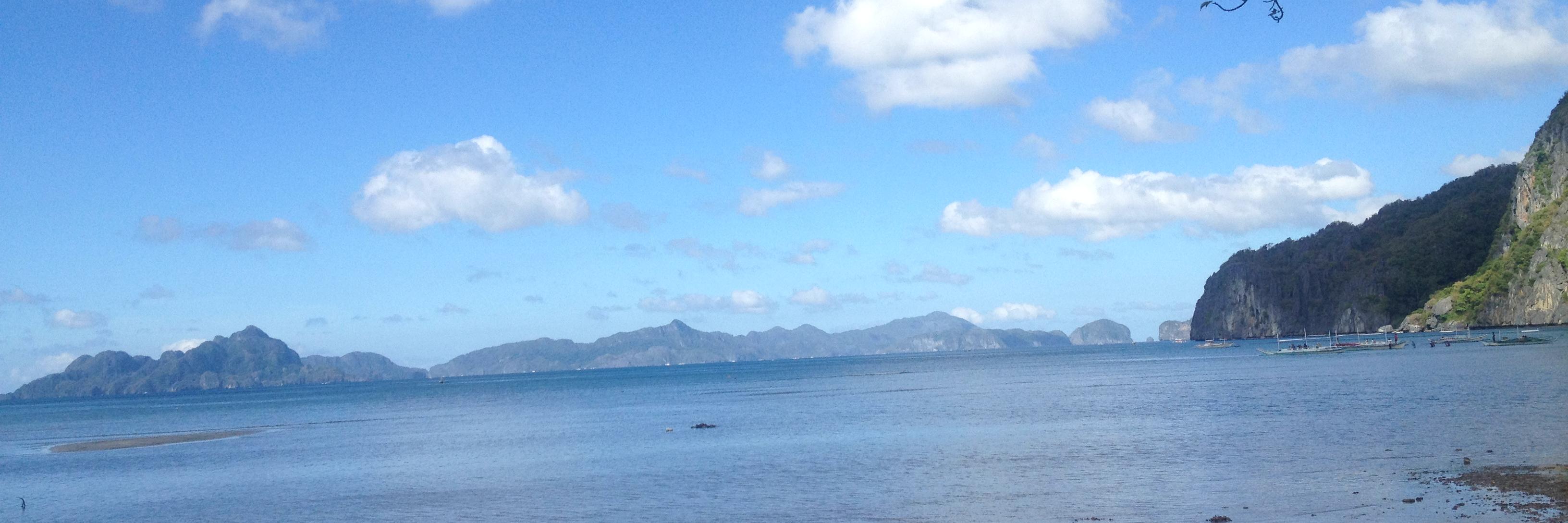 Kaline van Halder banner