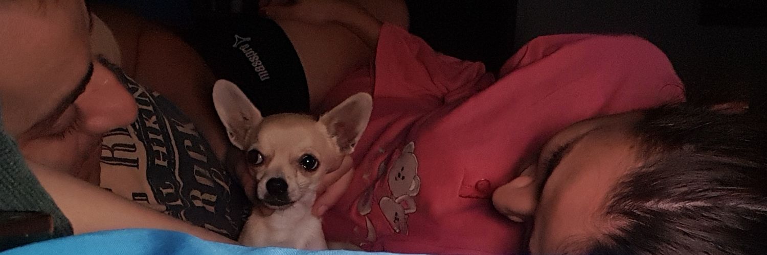 MartaElche95's profile banner image