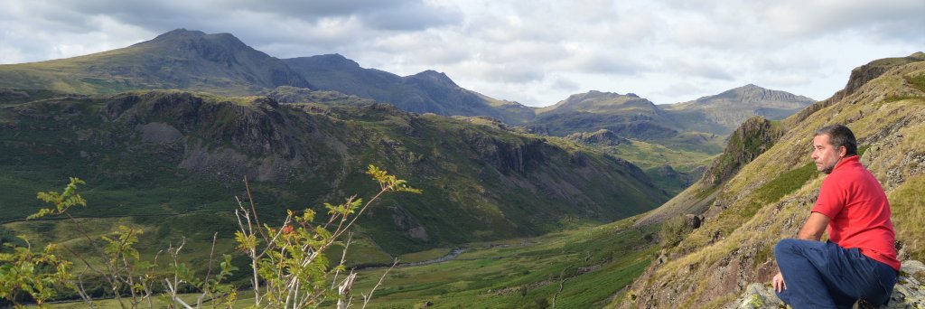 Wainwrights_In_Verse banner