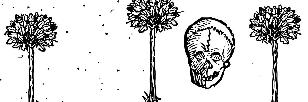 zemwerk's profile banner image