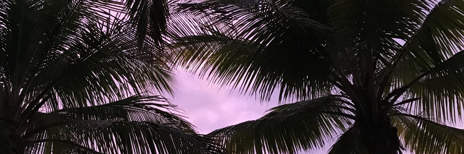 alexaserr_'s profile banner image
