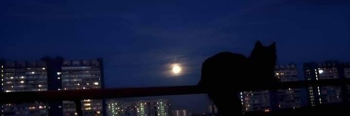 munn_112's profile banner image