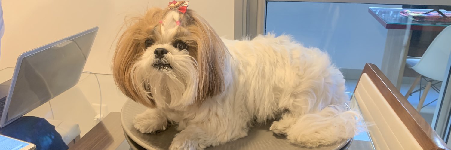 tf_iara's profile banner image