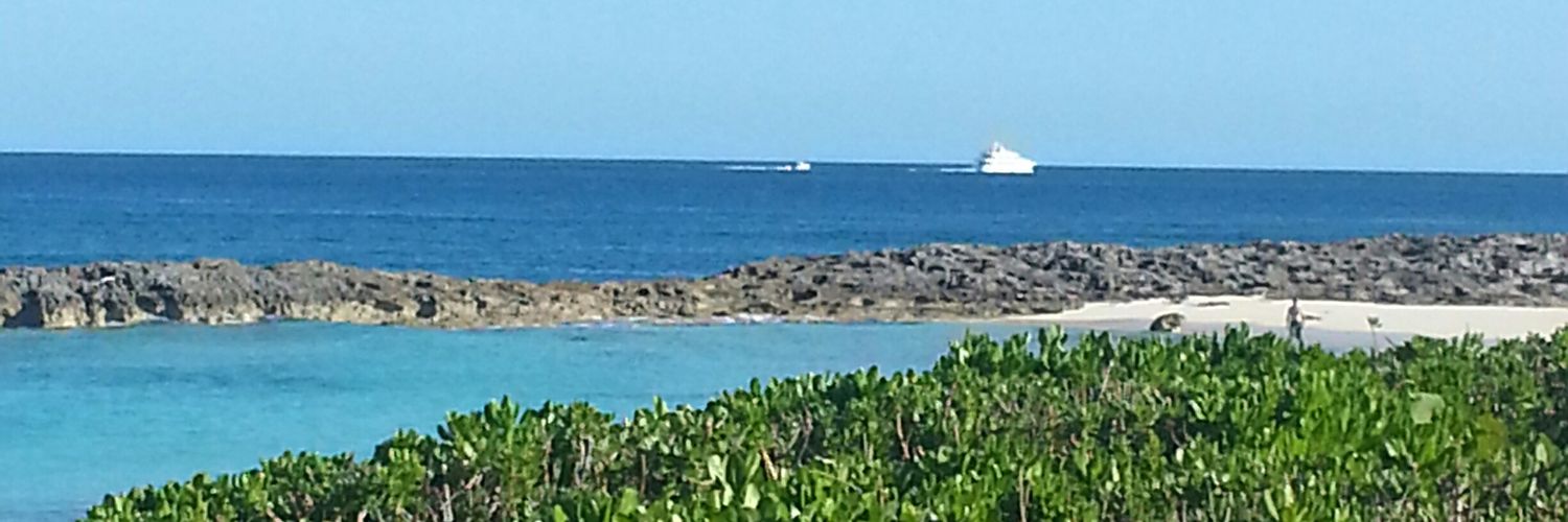 Elizabeth Steele banner