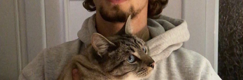 Fennoxa's profile banner image