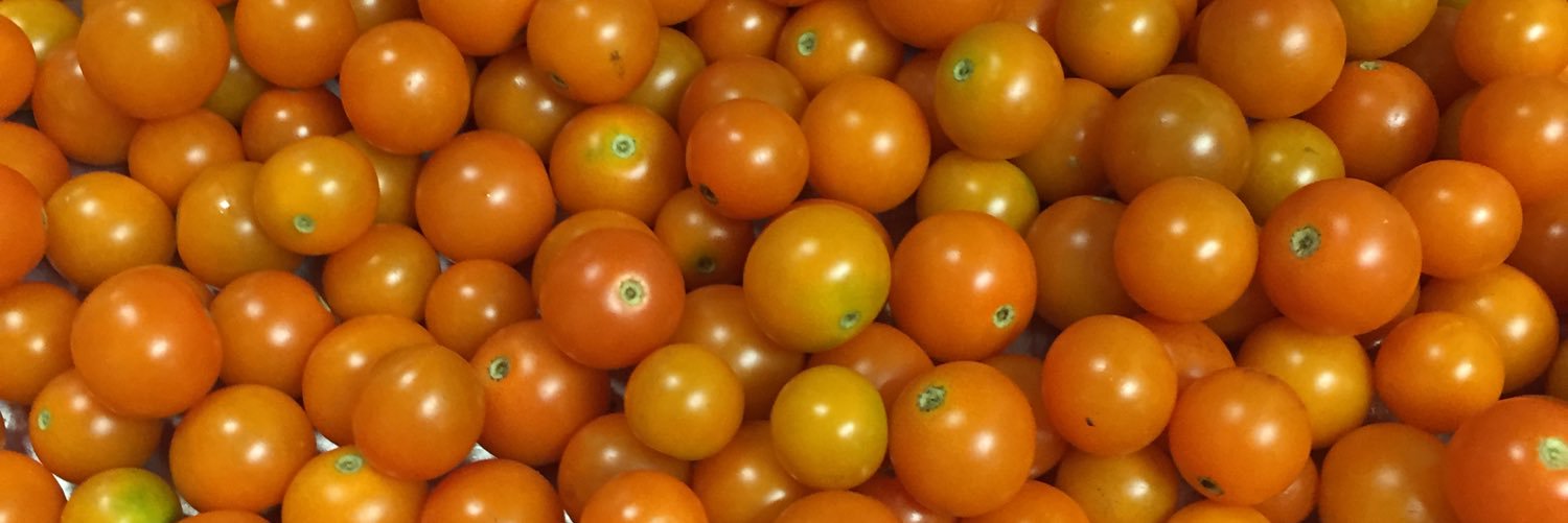 Iluvdininghalls's profile banner image
