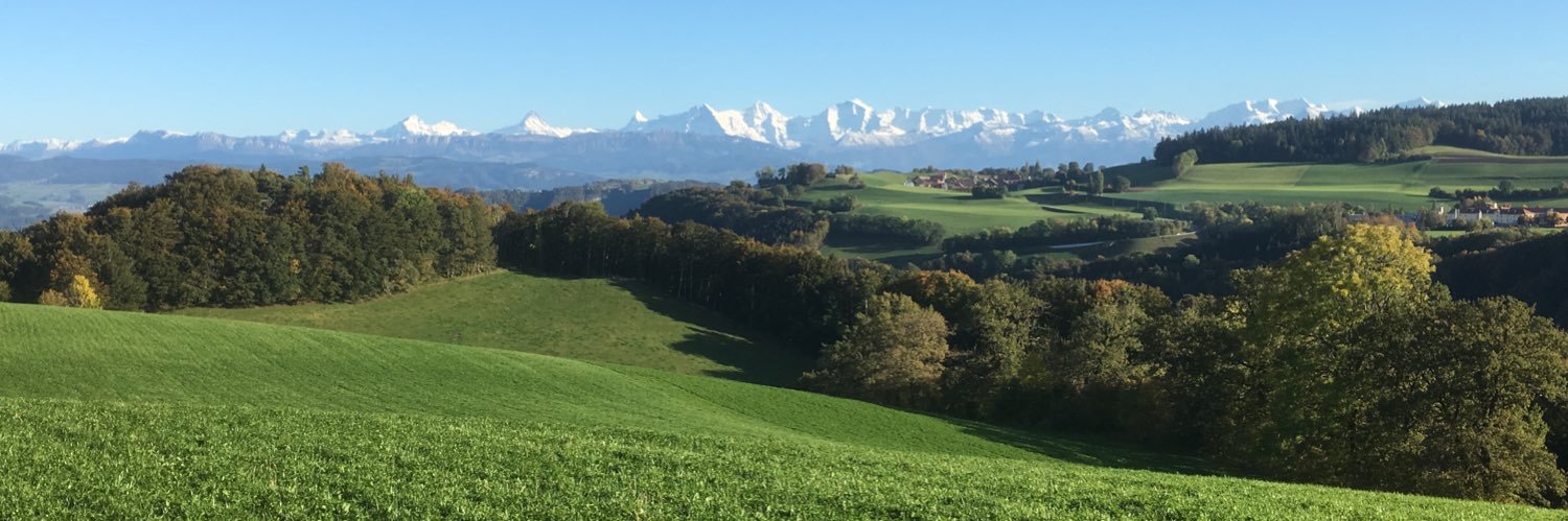 Brendan Cutuli banner
