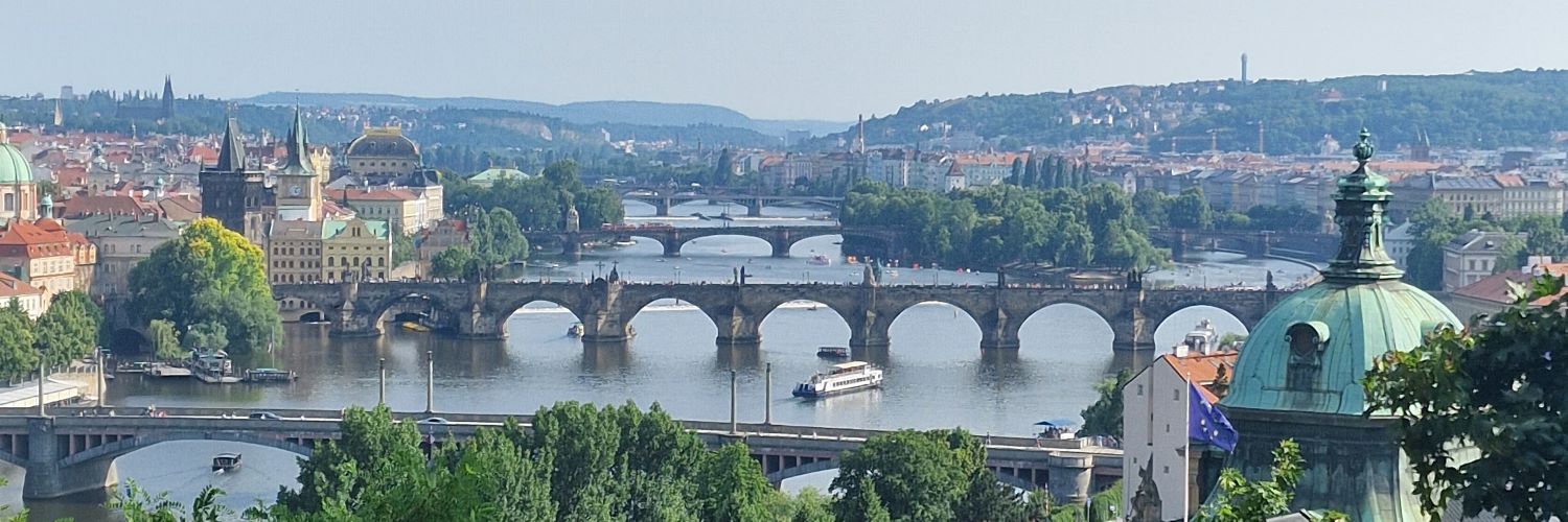 Dr Katie Finch banner