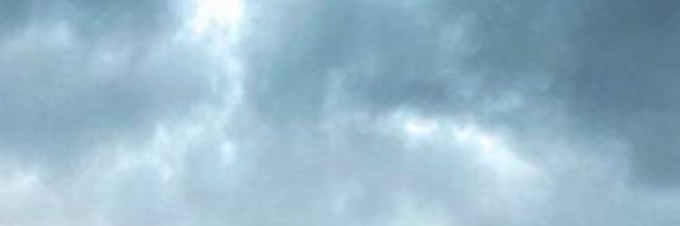 aleproc's profile banner image