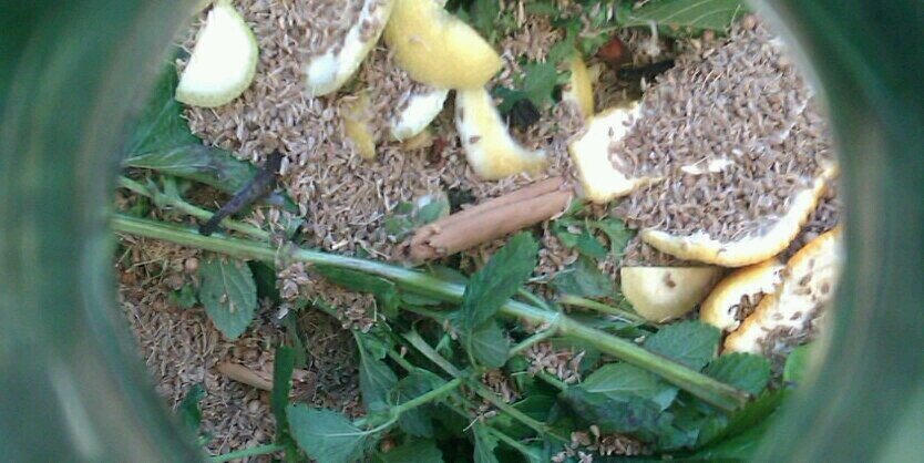 Xavier Aguiló banner