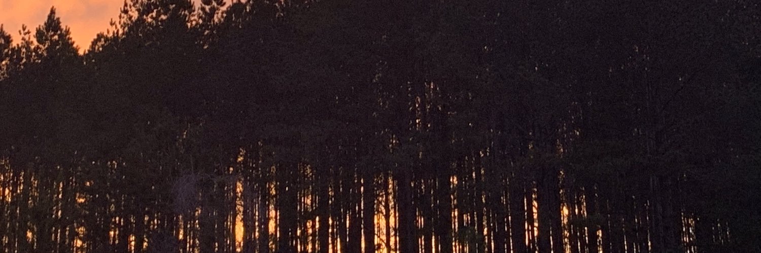 Rhonda_McC's profile banner image