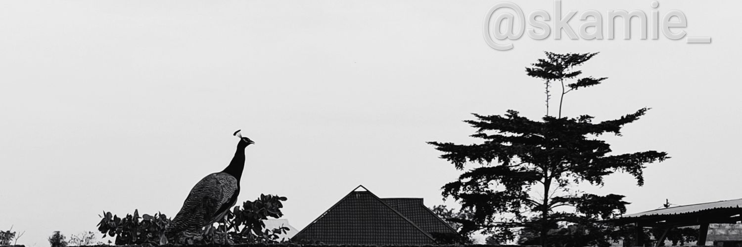 Big_Beluga 🐋 banner