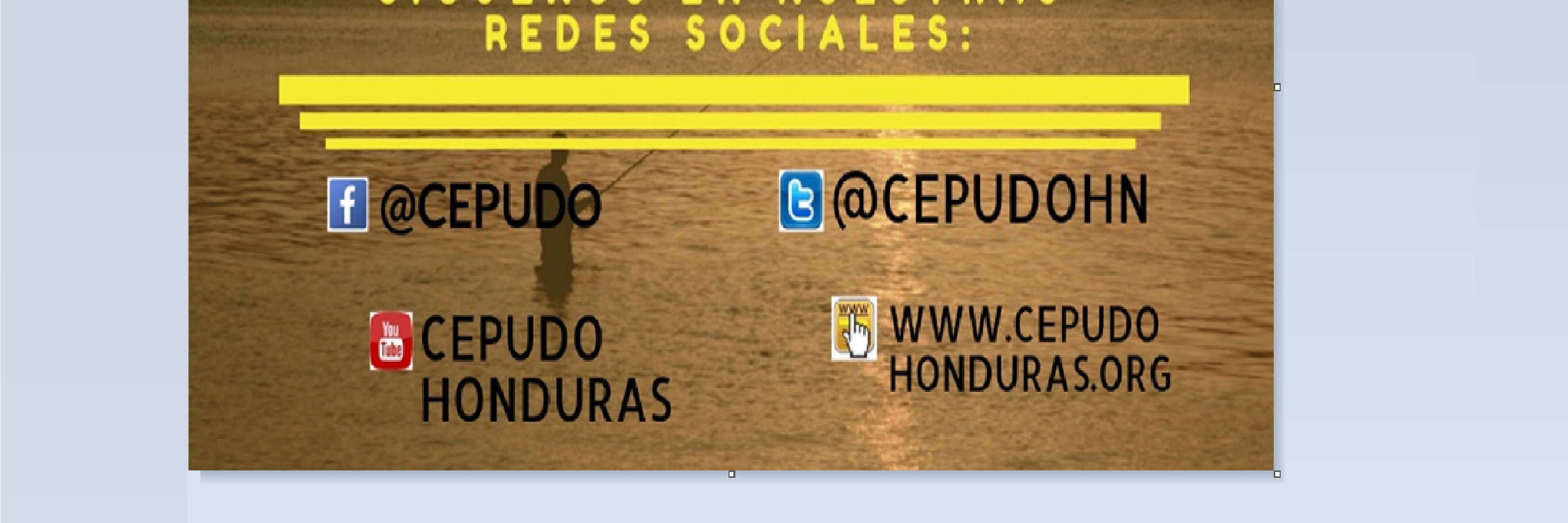 Cepudo Hn banner