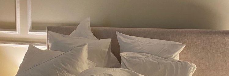 selftou's profile banner image