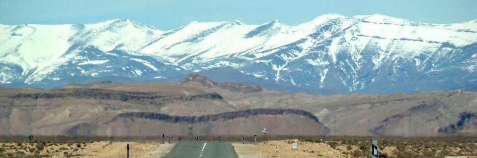 Donna Goodison banner