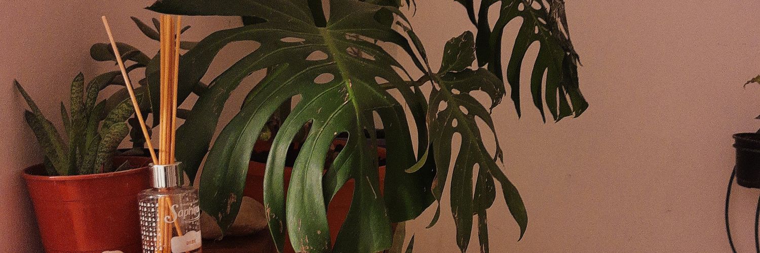 agustinabelench's profile banner image