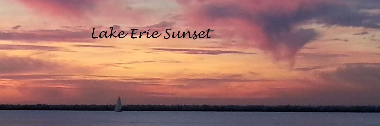 MsShari7's profile banner image