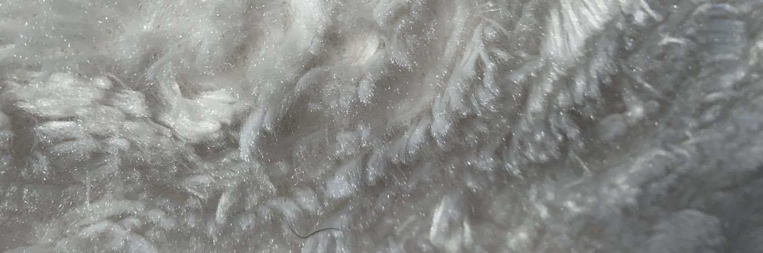 memelli_gemini's profile banner image