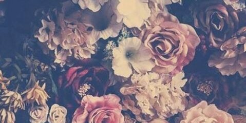 Walaaq_'s profile banner image