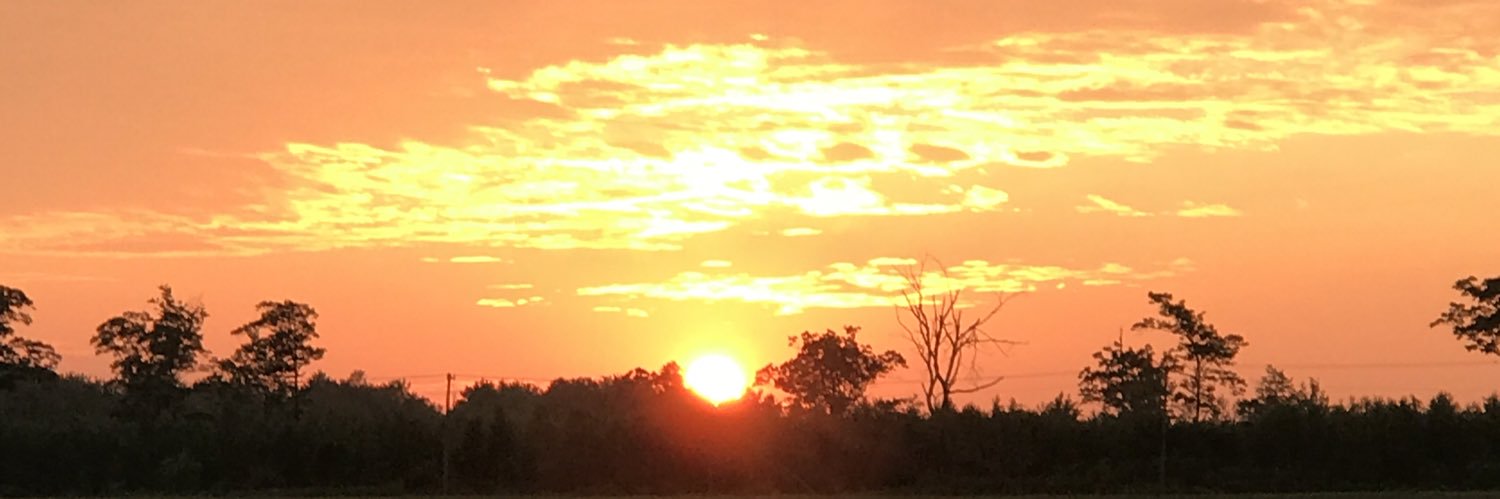 noah_ark9's profile banner image