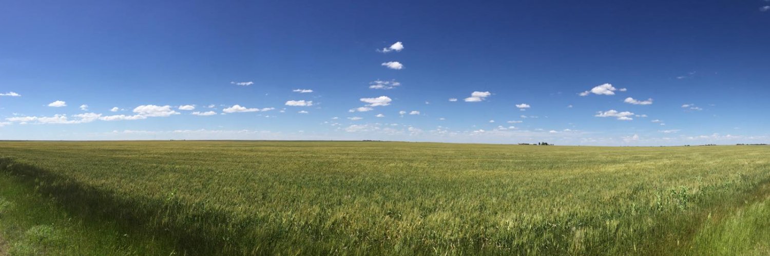 aaronmcnany's profile banner image