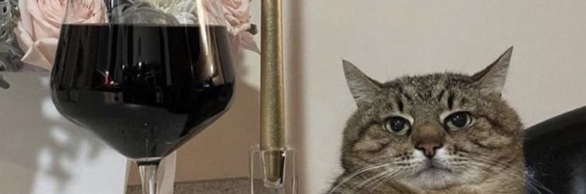 nik_stebbins's profile banner image