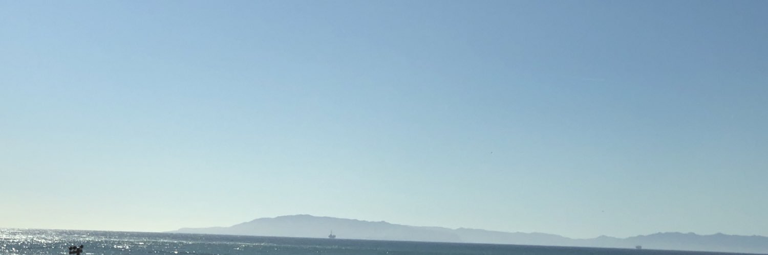 R Miranda 🌻🇺🇦 banner