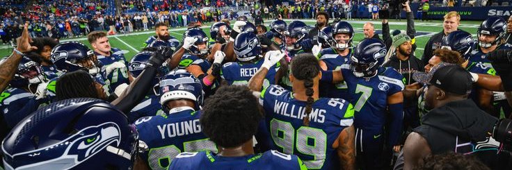TeeTheSeahawk's profile banner image