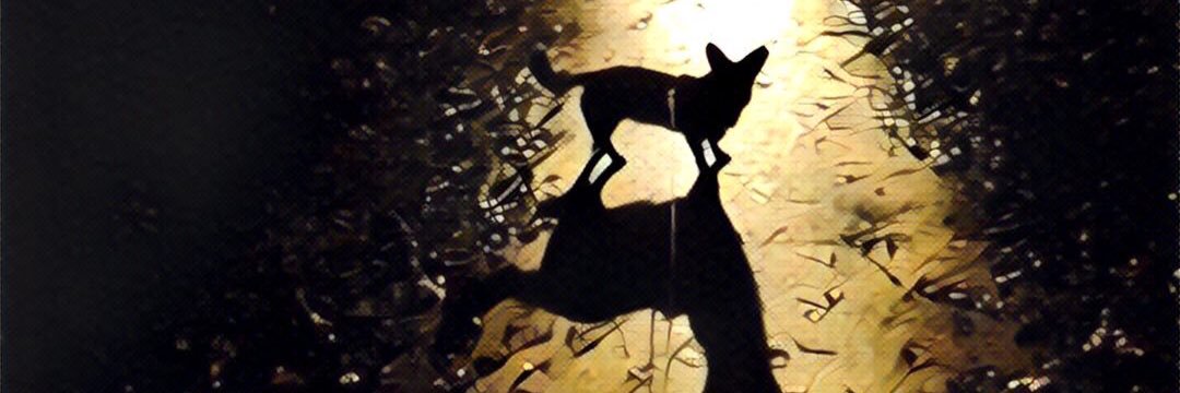 discarded_aces's profile banner image