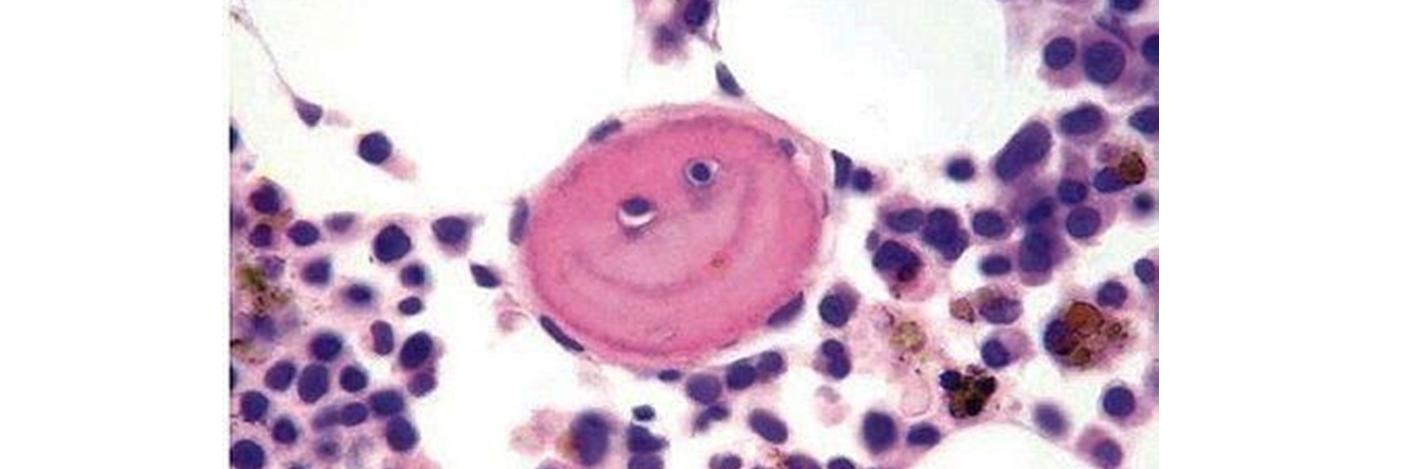 Patrick J. McIntire banner