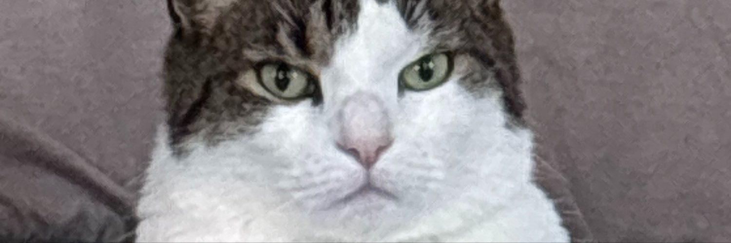 barleaux_'s profile banner image