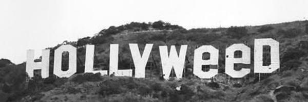 MalangSubNoise Profile Banner