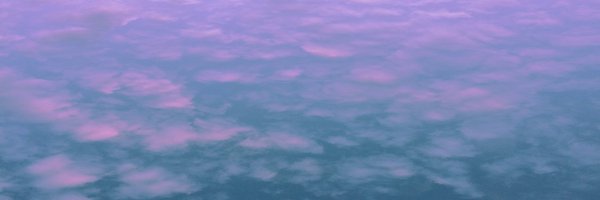 thomaslittle_ Profile Banner