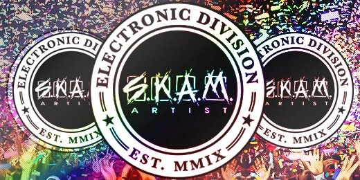 SKAMelectro's profile banner image