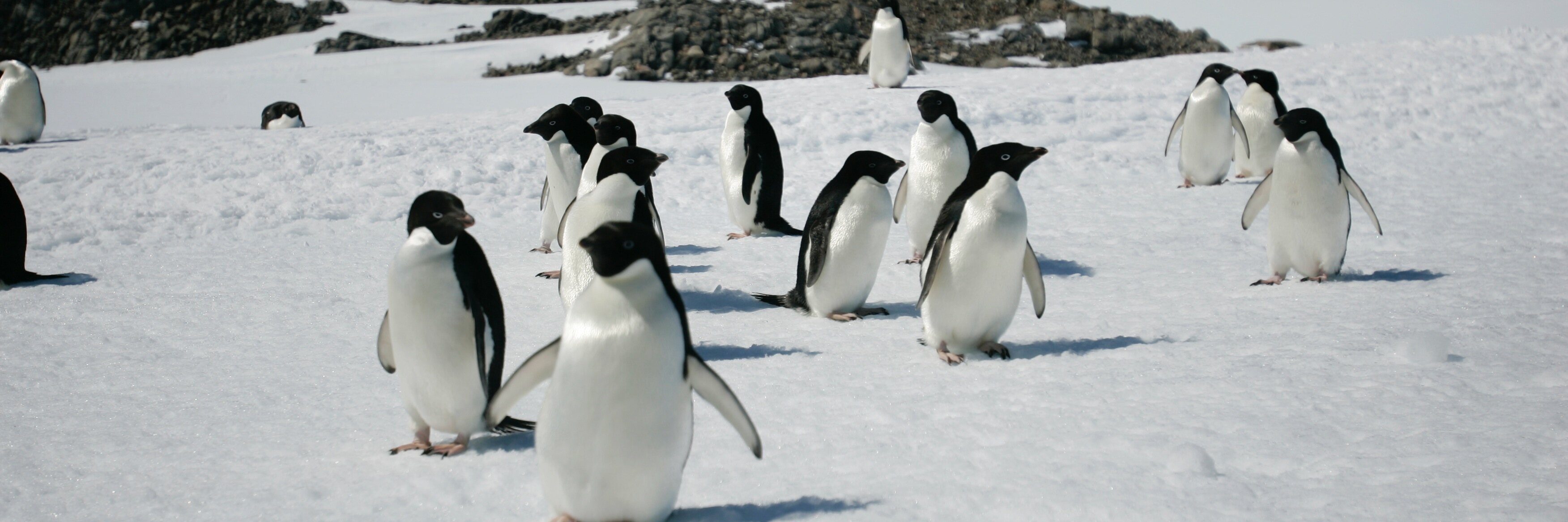 ProudPagen's profile banner image