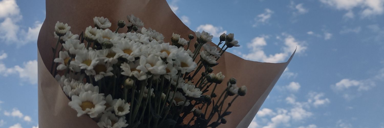 emcasado's profile banner image