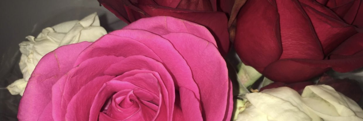 Carolfranke_'s profile banner image