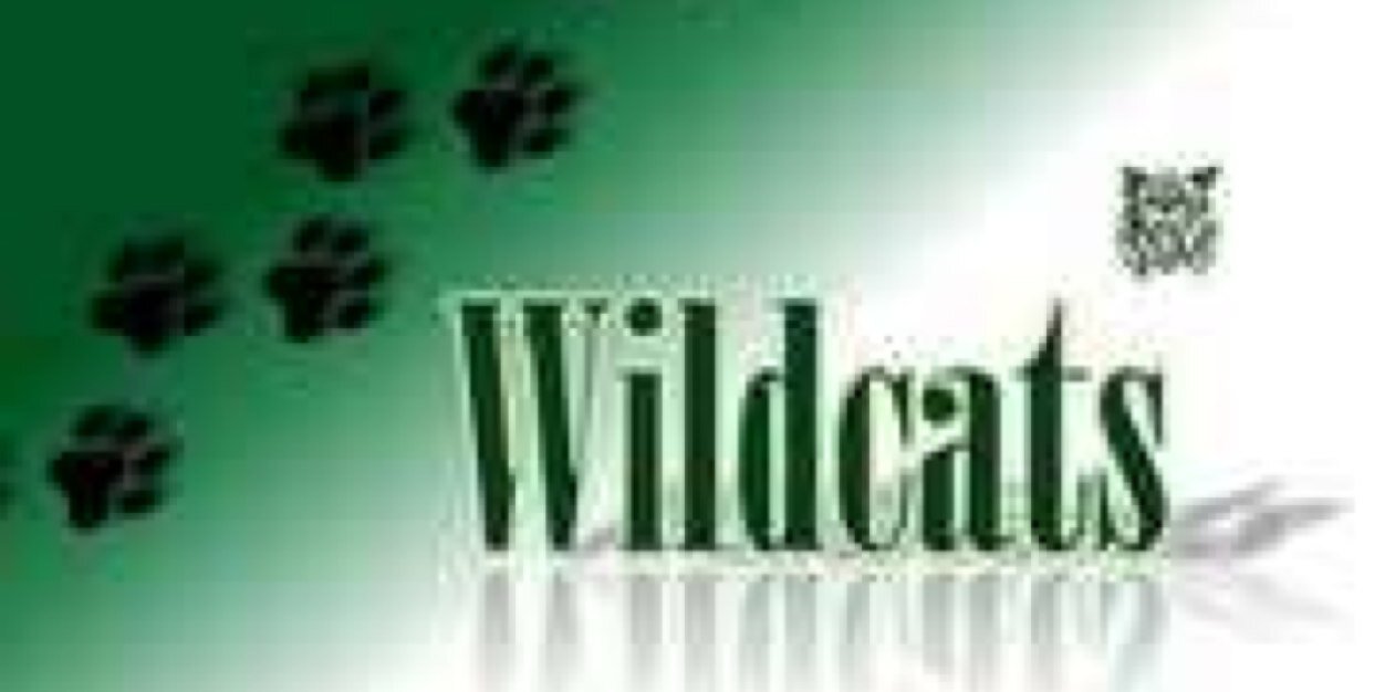MulvaneStuCo's profile banner image