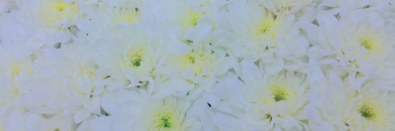 CleeveValentine's profile banner image