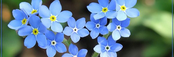 HalteLa_ Profile Banner