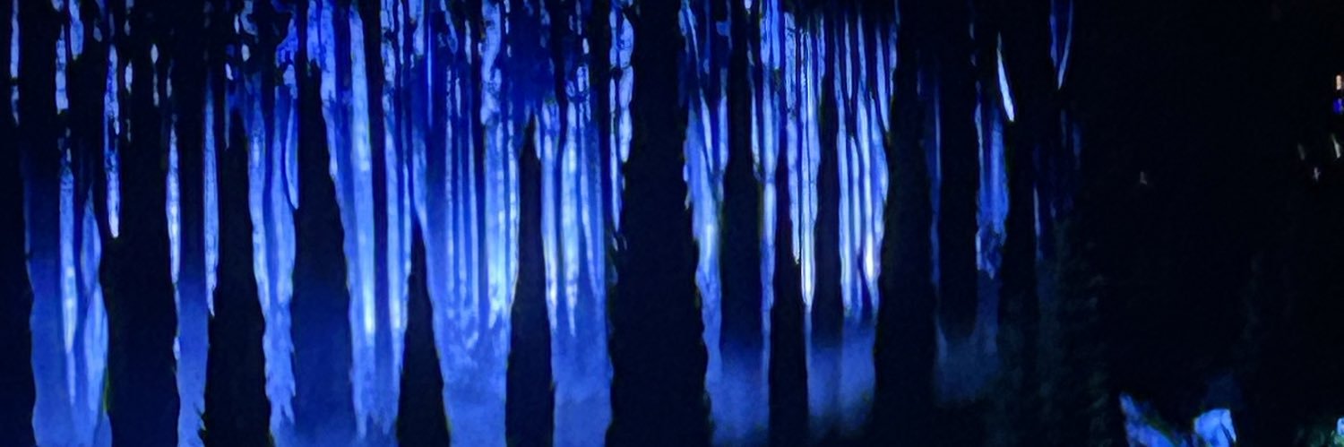 madison_d_c's profile banner image