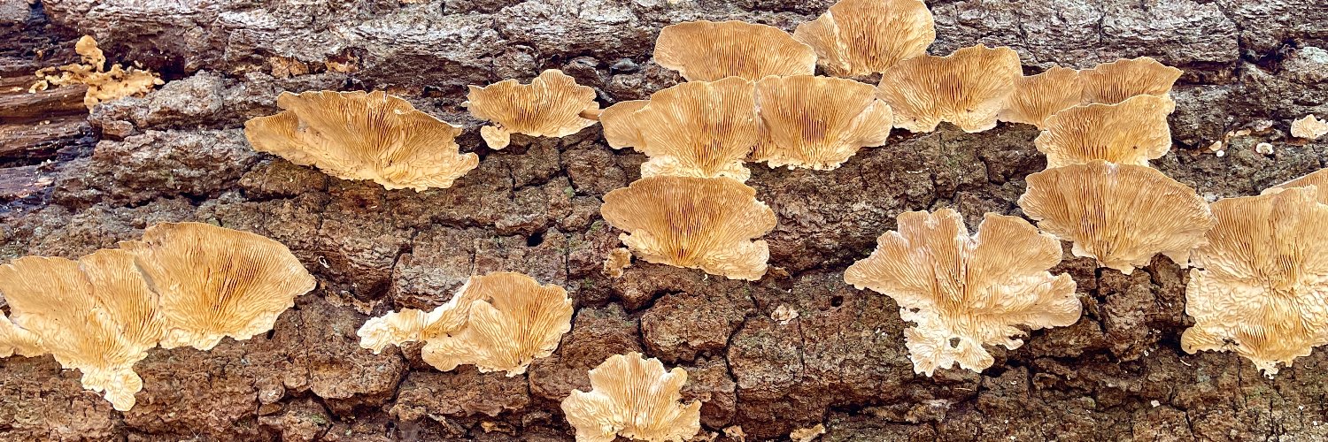 Demarest Nature Ctr banner