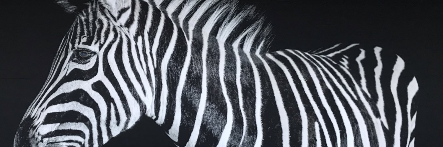 lupecegueiro's profile banner image